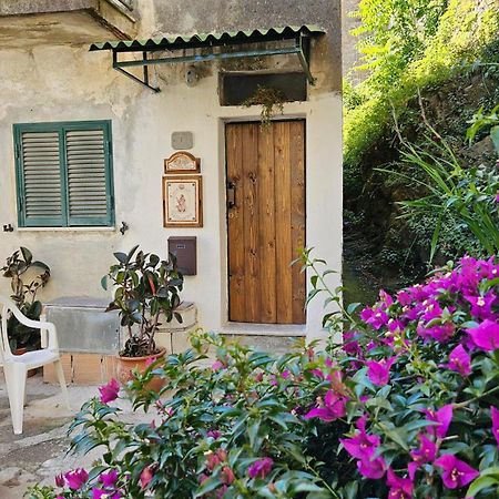 Appartamento Nel Borgo - Casa Del Pellegrino Sulla Via Francigena 아울라 외부 사진